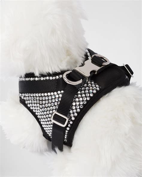 prada crystal cat& 39|prada luxury dog accessories.